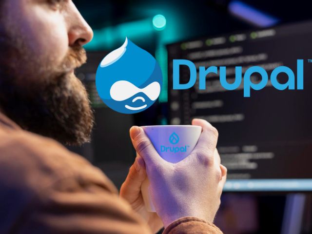 soporte drupal