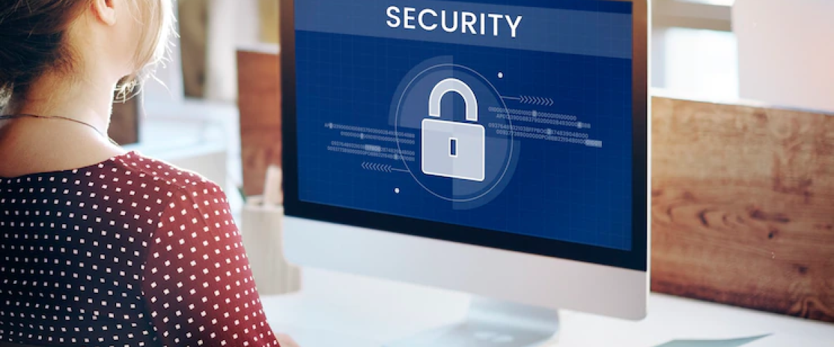 Proteccion y Ataques de Fuerza Bruta